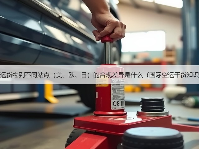 国际空运货物到不同站点(美、欧、日)的合规差异是什么(国际空运干货知识分享)(图3) 国际空运货物到不同站点(美、欧、日)的合规差异是什么(国际空运干货知识分享)(图3)