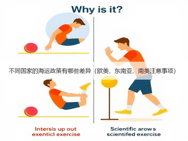 不同国家的海运政策有哪些差异(欧美、东南亚、南美注意事项)(图2) 不同国家的海运政策有哪些差异(欧美、东南亚、南美注意事项)(图2)