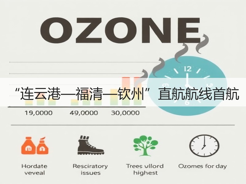 “连云港—福清—钦州”直航航线首航 “连云港—福清—钦州”直航航线首航