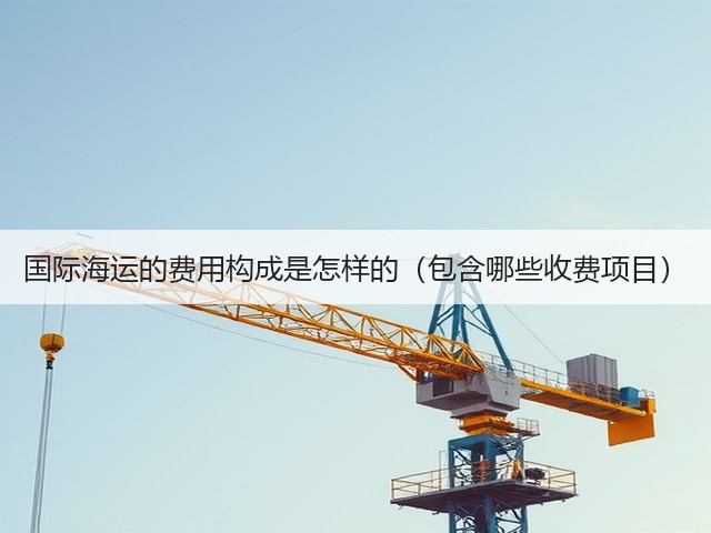 国际海运的费用构成是怎样的(包含哪些收费项目)(图3) 国际海运的费用构成是怎样的(包含哪些收费项目)(图3)