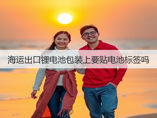 海运出口锂电池包装上要贴电池标签吗(图3) 海运出口锂电池包装上要贴电池标签吗(图3)