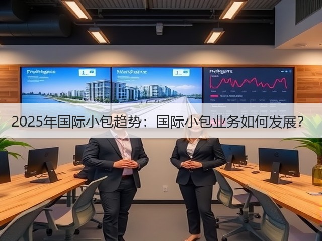 2025年国际小包趋势:国际小包业务如何发展?(图3) 2025年国际小包趋势:国际小包业务如何发展?(图3)