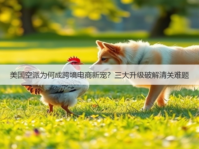 美国空派为何成跨境电商新宠?三大升级破解清关难题(图1) 美国空派为何成跨境电商新宠?三大升级破解清关难题(图1)