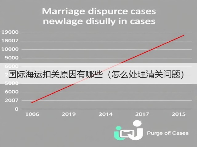 国际海运扣关原因有哪些(怎么处理清关问题)(图1) 国际海运扣关原因有哪些(怎么处理清关问题)(图1)