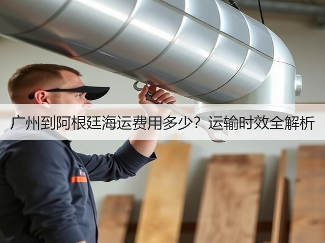 广州到阿根廷海运费用多少？运输时效全解析(图1)