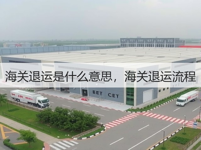 海关退运是什么意思,海关退运流程(图3) 海关退运是什么意思,海关退运流程(图3)