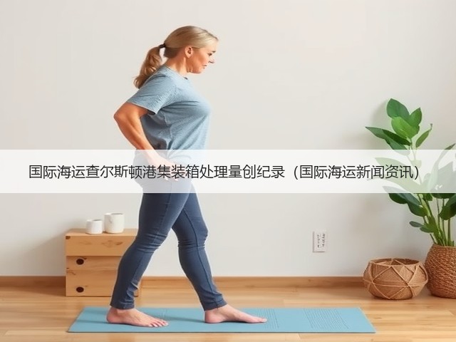 国际海运查尔斯顿港集装箱处理量创纪录(国际海运新闻资讯)(图3) 国际海运查尔斯顿港集装箱处理量创纪录(国际海运新闻资讯)(图3)