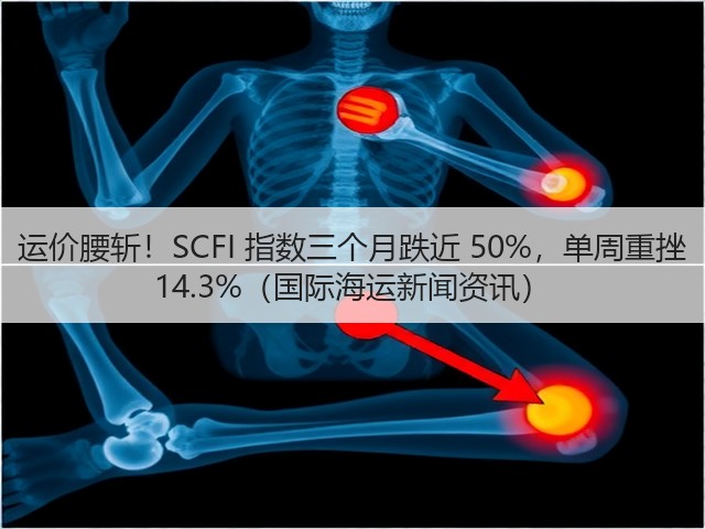 运价腰斩!SCFI 指数三个月跌近 50%,单周重挫 14.3%(国际海运新闻资讯)(图3) 运价腰斩!SCFI 指数三个月跌近 50%,单周重挫 14.3%(国际海运新闻资讯)(图3)