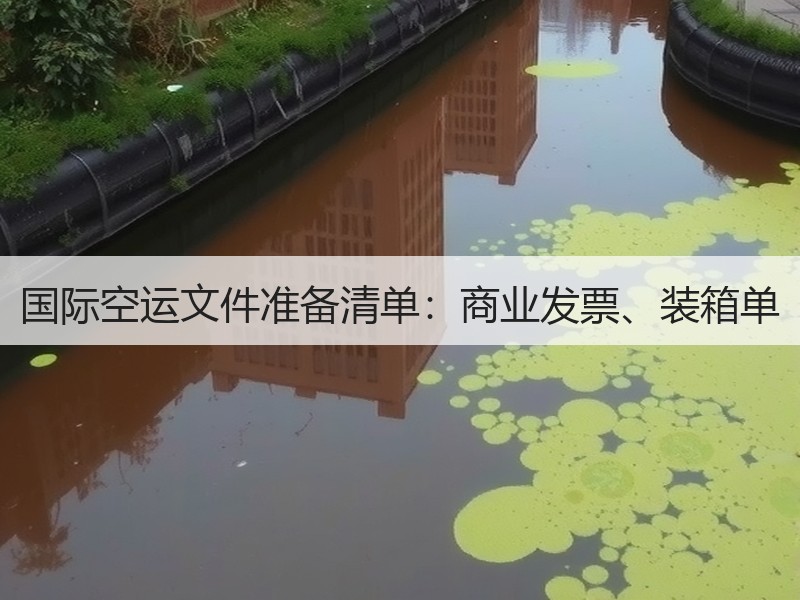 国际空运文件准备清单：商业发票、装箱单
