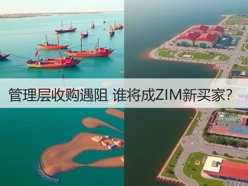 管理层收购遇阻 谁将成ZIM新买家? 管理层收购遇阻 谁将成ZIM新买家?