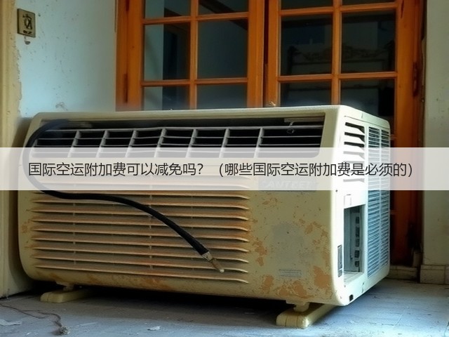 国际空运附加费可以减免吗?(哪些国际空运附加费是必须的)(图3) 国际空运附加费可以减免吗?(哪些国际空运附加费是必须的)(图3)