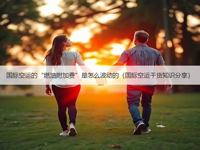 国际空运的“燃油附加费”是怎么波动的(国际空运干货知识分享)(图1) 国际空运的“燃油附加费”是怎么波动的(国际空运干货知识分享)(图1)