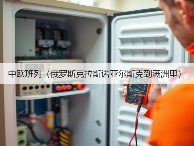 中欧班列(俄罗斯克拉斯诺亚尔斯克到满洲里)(图3) 中欧班列(俄罗斯克拉斯诺亚尔斯克到满洲里)(图3)