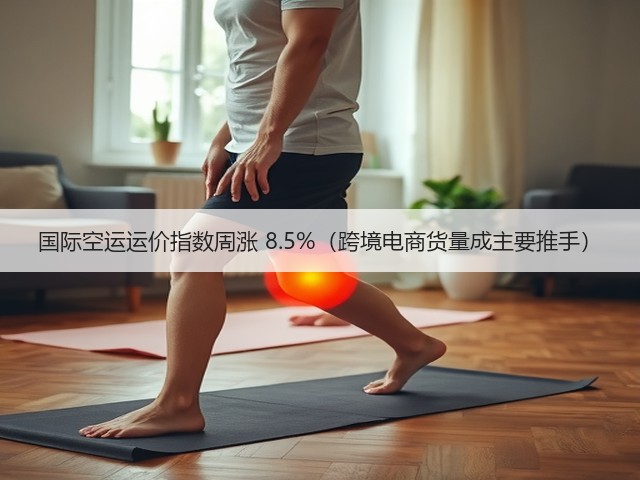 国际空运运价指数周涨 8.5%(跨境电商货量成主要推手)(图2) 国际空运运价指数周涨 8.5%(跨境电商货量成主要推手)(图2)
