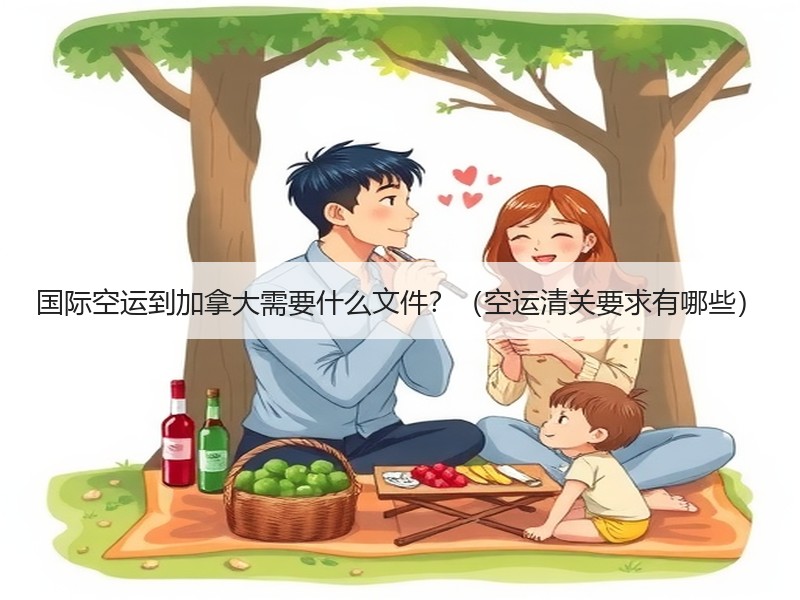 国际空运到加拿大需要什么文件?(空运清关要求有哪些) 国际空运到加拿大需要什么文件?(空运清关要求有哪些)