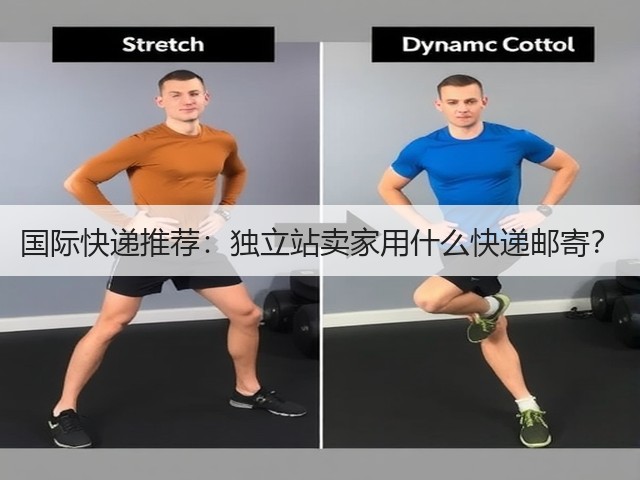 国际快递推荐:独立站卖家用什么快递邮寄?(图2) 国际快递推荐:独立站卖家用什么快递邮寄?(图2)