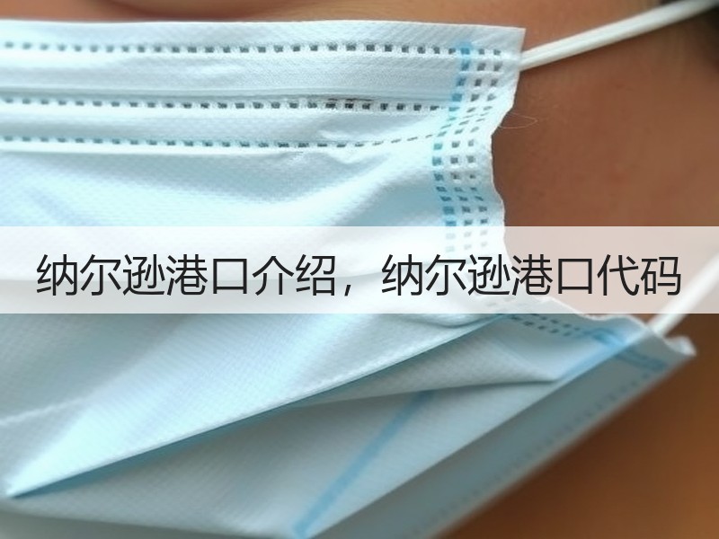 纳尔逊港口介绍，纳尔逊港口代码
