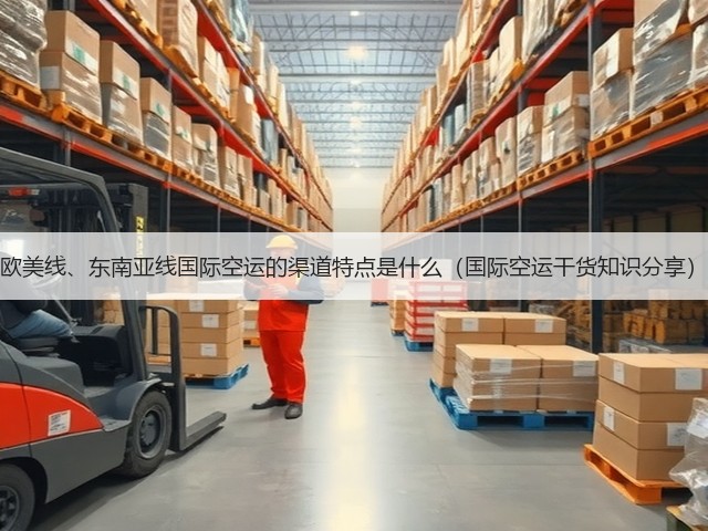 欧美线、东南亚线国际空运的渠道特点是什么(国际空运干货知识分享)(图3) 欧美线、东南亚线国际空运的渠道特点是什么(国际空运干货知识分享)(图3)