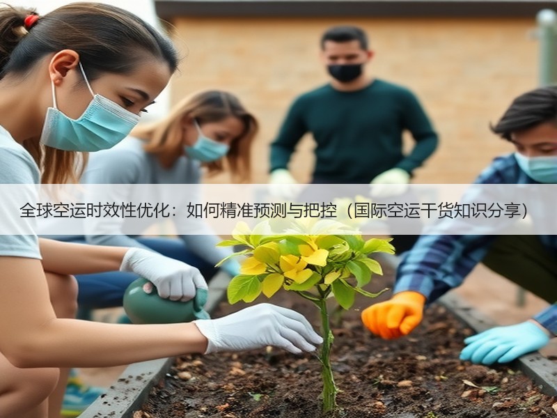 全球空运时效性优化：如何精准预测与把控（国际空运干货知识分享）