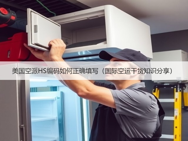 美国空派HS编码如何正确填写（国际空运干货知识分享）(图1)