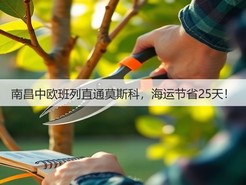 南昌中欧班列直通莫斯科,海运节省25天! 南昌中欧班列直通莫斯科,海运节省25天!