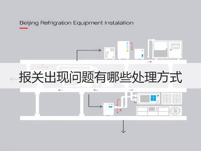 报关出现问题有哪些处理方式(图3) 报关出现问题有哪些处理方式(图3)