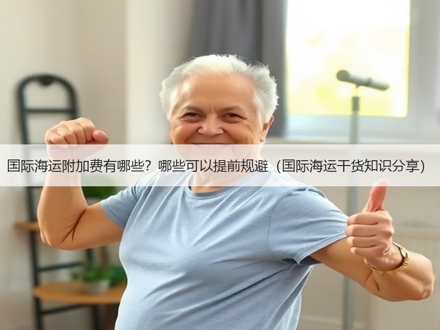 国际海运附加费有哪些？哪些可以提前规避（国际海运干货知识分享）(图2)