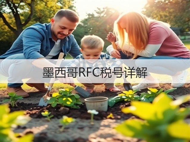 墨西哥RFC税号详解(图3)