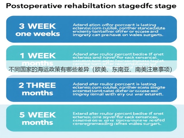 不同国家的海运政策有哪些差异(欧美、东南亚、南美注意事项)(图1) 不同国家的海运政策有哪些差异(欧美、东南亚、南美注意事项)(图1)