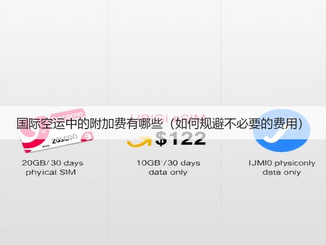 国际空运中的附加费有哪些(如何规避不必要的费用)(图1) 国际空运中的附加费有哪些(如何规避不必要的费用)(图1)