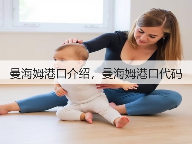 曼海姆港口介绍,曼海姆港口代码 曼海姆港口介绍,曼海姆港口代码