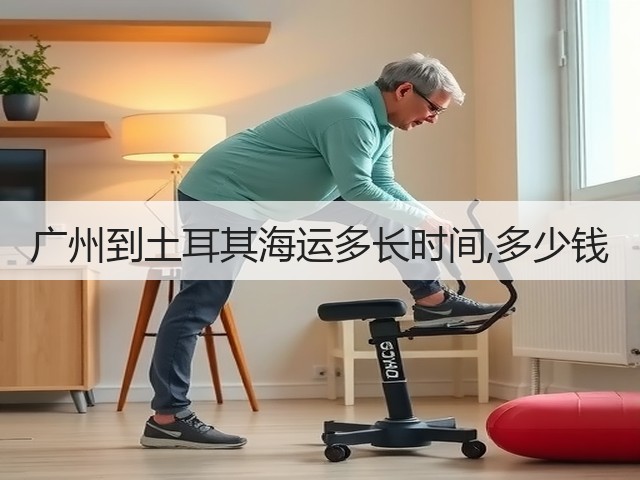 广州到土耳其海运多长时间,多少钱(图3)