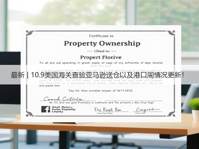 最新 | 10.9美国海关查验亚马逊送仓以及港口周情况更新!(图2) 最新 | 10.9美国海关查验亚马逊送仓以及港口周情况更新!(图2)