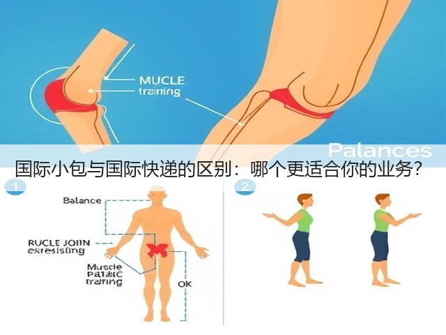 国际小包与国际快递的区别：哪个更适合你的业务？(图1)