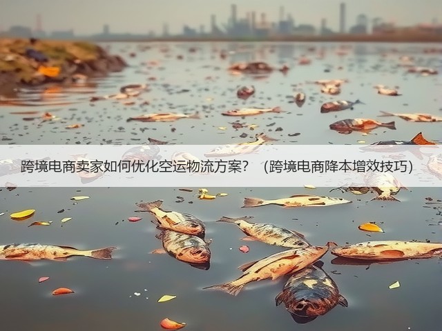 跨境电商卖家如何优化空运物流方案?(跨境电商降本增效技巧)(图2) 跨境电商卖家如何优化空运物流方案?(跨境电商降本增效技巧)(图2)