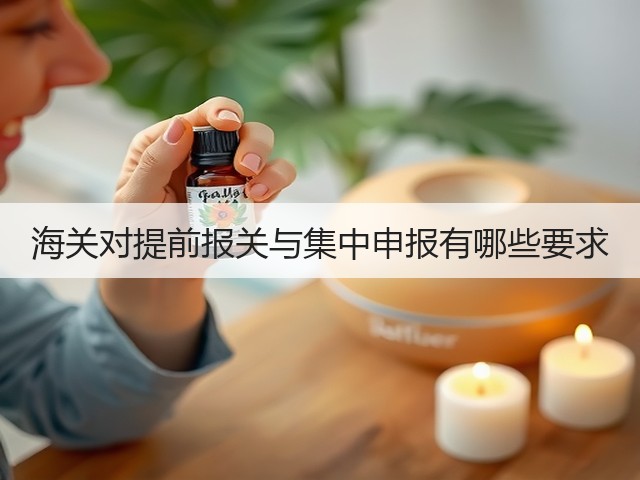 海关对提前报关与集中申报有哪些要求(图1)