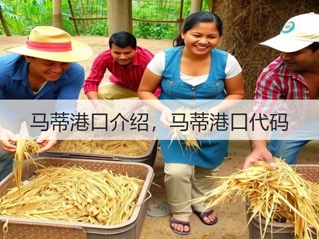 马蒂港口介绍,马蒂港口代码(图2) 马蒂港口介绍,马蒂港口代码(图2)
