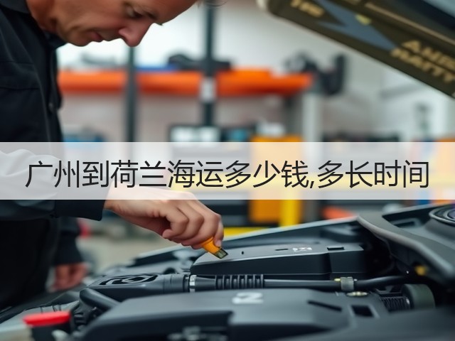 广州到荷兰海运多少钱,多长时间(图2) 广州到荷兰海运多少钱,多长时间(图2)
