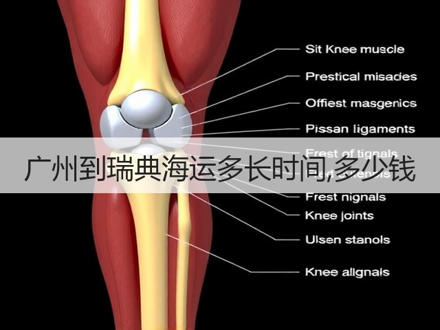 广州到瑞典海运多长时间,多少钱(图1) 广州到瑞典海运多长时间,多少钱(图1)