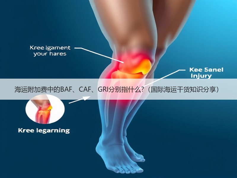 海运附加费中的BAF、CAF、GRI分别指什么?（国际海运干货知识分享）