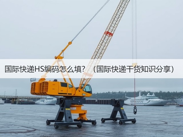 国际快递HS编码怎么填？（国际快递干货知识分享）(图2)