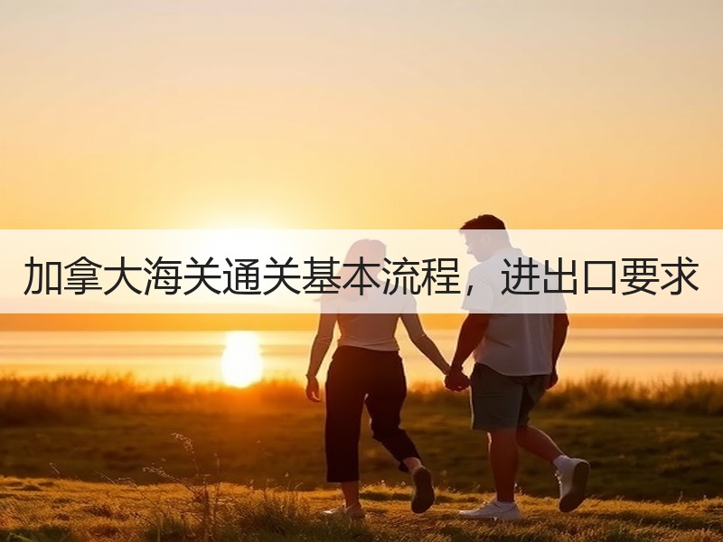 加拿大海关通关基本流程,进出口要求 加拿大海关通关基本流程,进出口要求