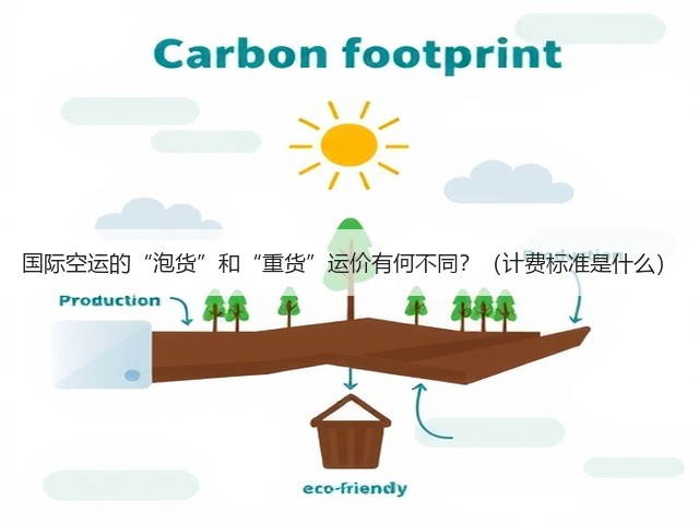 国际空运的“泡货”和“重货”运价有何不同?(计费标准是什么)(图3) 国际空运的“泡货”和“重货”运价有何不同?(计费标准是什么)(图3)