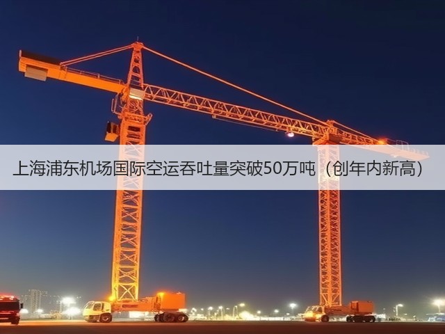 上海浦东机场国际空运吞吐量突破50万吨(创年内新高)(图2) 上海浦东机场国际空运吞吐量突破50万吨(创年内新高)(图2)