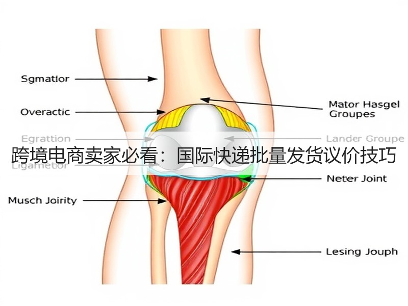 跨境电商卖家必看:国际快递批量发货议价技巧 跨境电商卖家必看:国际快递批量发货议价技巧