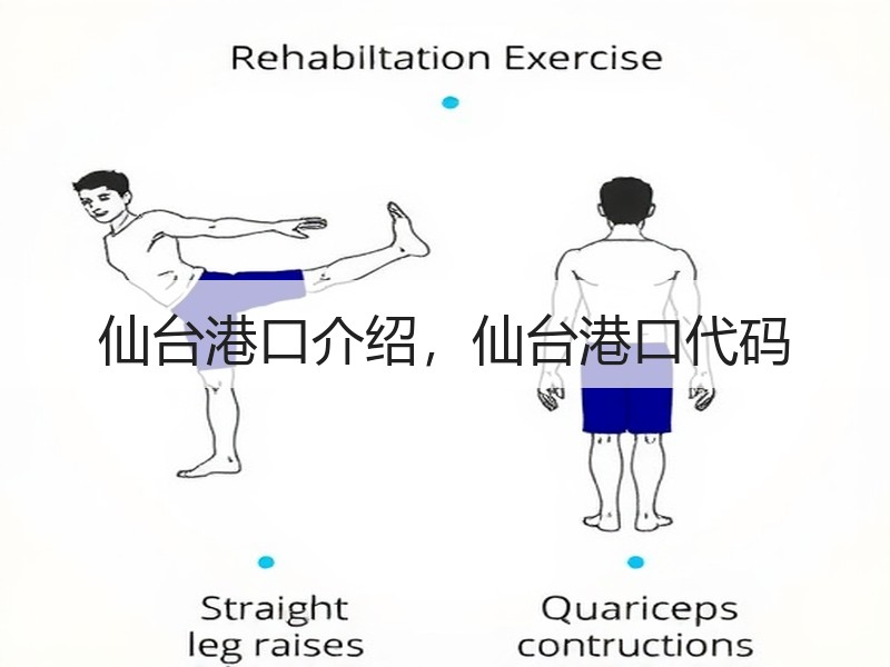仙台港口介绍，仙台港口代码