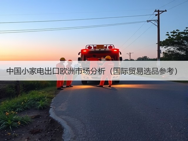 中国小家电出口欧洲市场分析(国际贸易选品参考)(图3) 中国小家电出口欧洲市场分析(国际贸易选品参考)(图3)