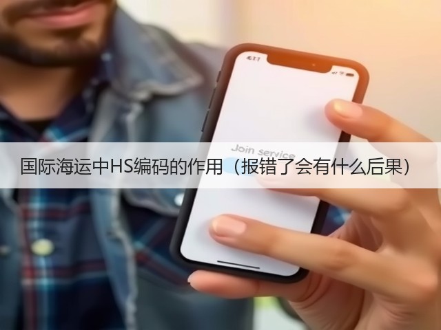 国际海运中HS编码的作用(报错了会有什么后果)(图1) 国际海运中HS编码的作用(报错了会有什么后果)(图1)