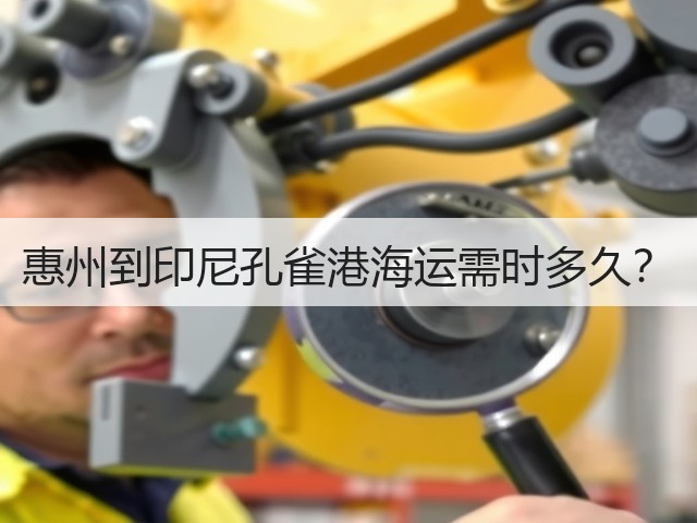 惠州到印尼孔雀港海运需时多久?(图3) 惠州到印尼孔雀港海运需时多久?(图3)