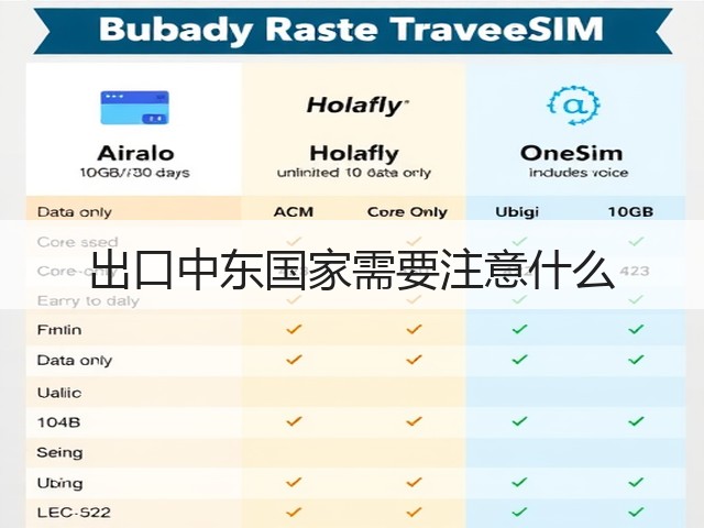 出口中东国家需要注意什么(图2) 出口中东国家需要注意什么(图2)